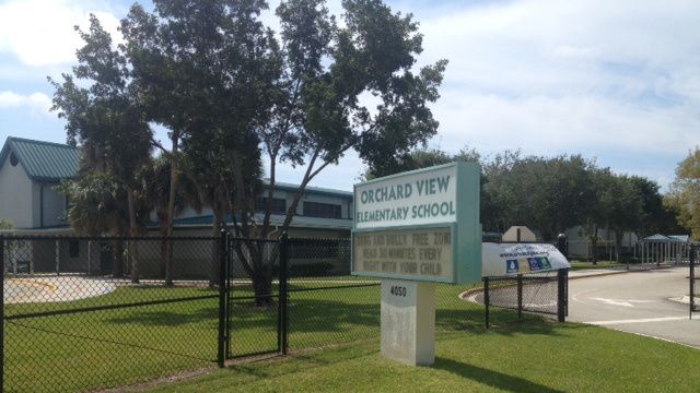 Orchard view school