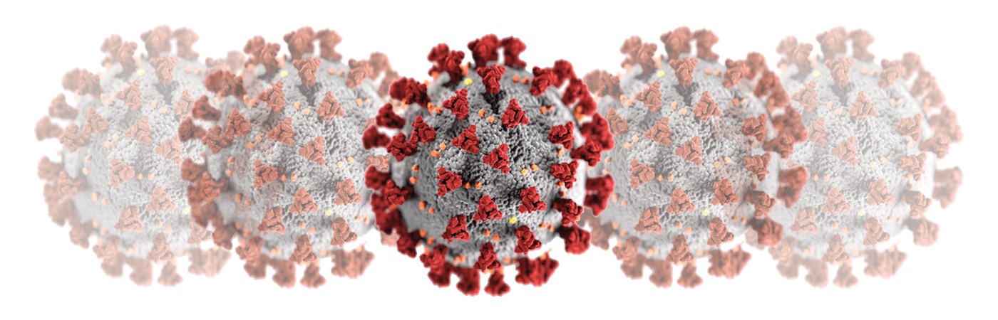 covid-19 virus