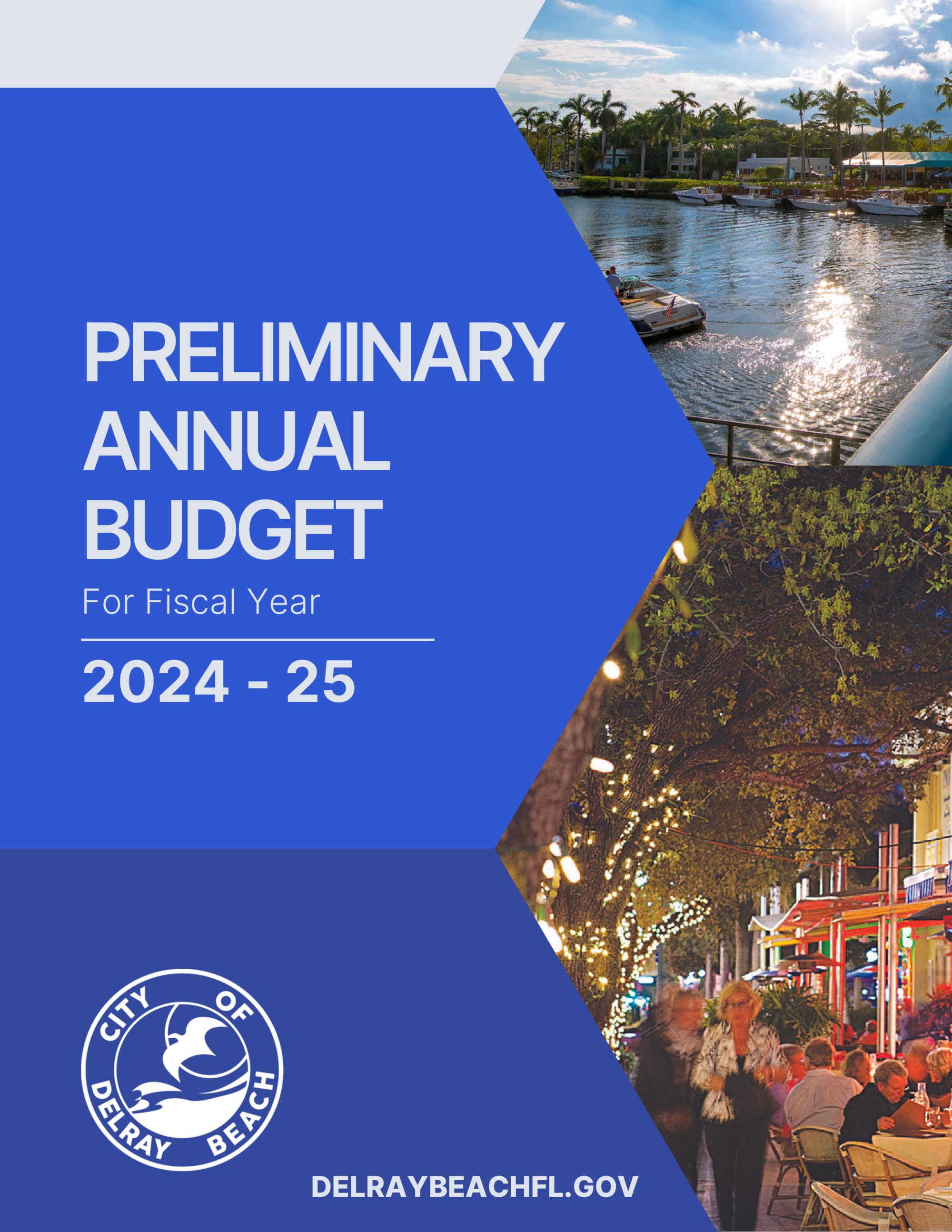 Preliminary Book FY 2025