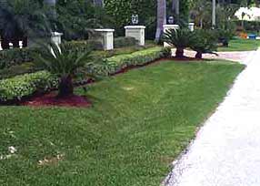 This image shows a swale that is used for collecting stormwater. The image shows that swales can look nice in front of houses.