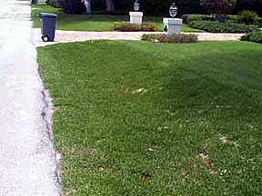 This image shows a swale at the end of a driveway. To show how it would be able to collect water from driveways.